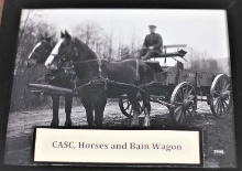Wagon, and Horses, CASC  - image1