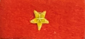 Rank, Japanese - image1